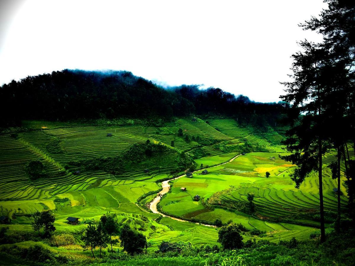 Do Gu Homestay Mu Cang Chai Exteriér fotografie