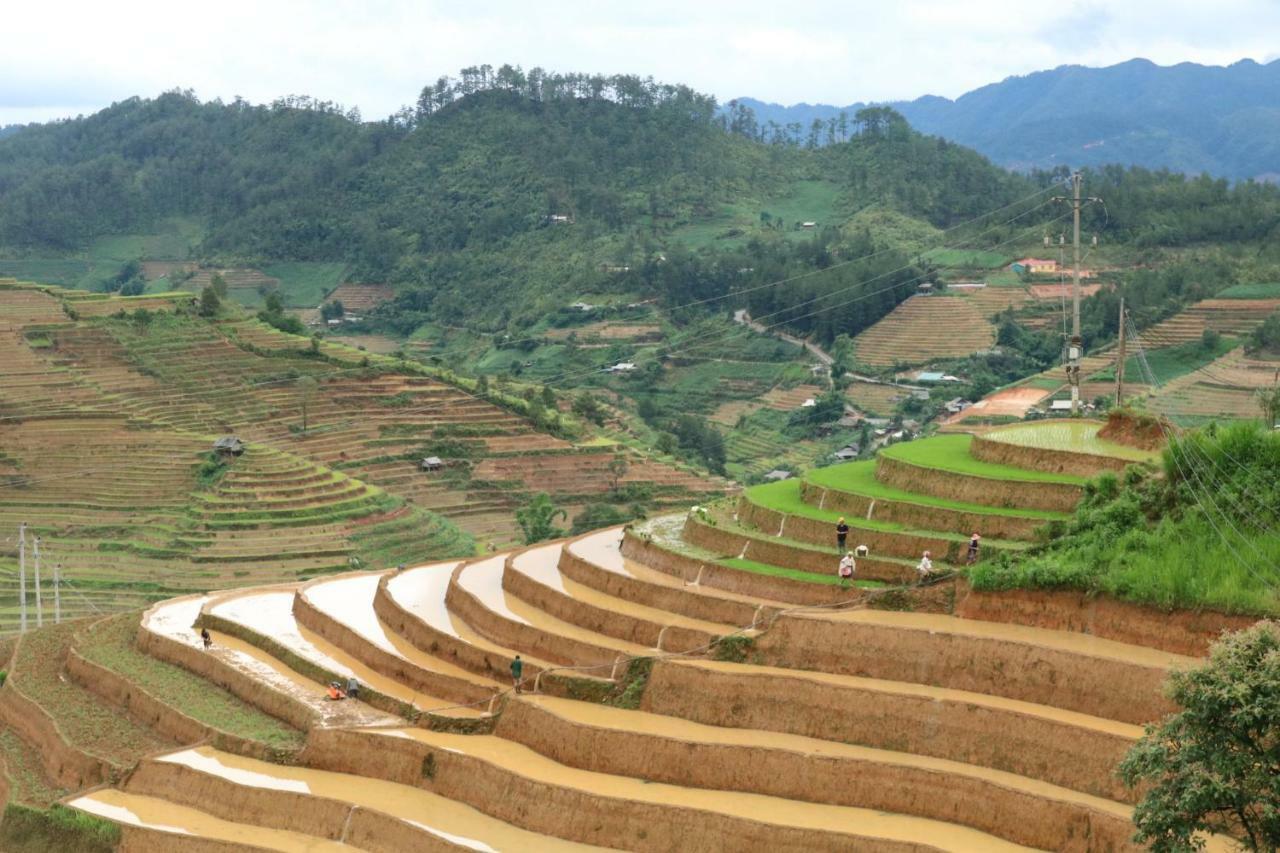 Do Gu Homestay Mu Cang Chai Exteriér fotografie