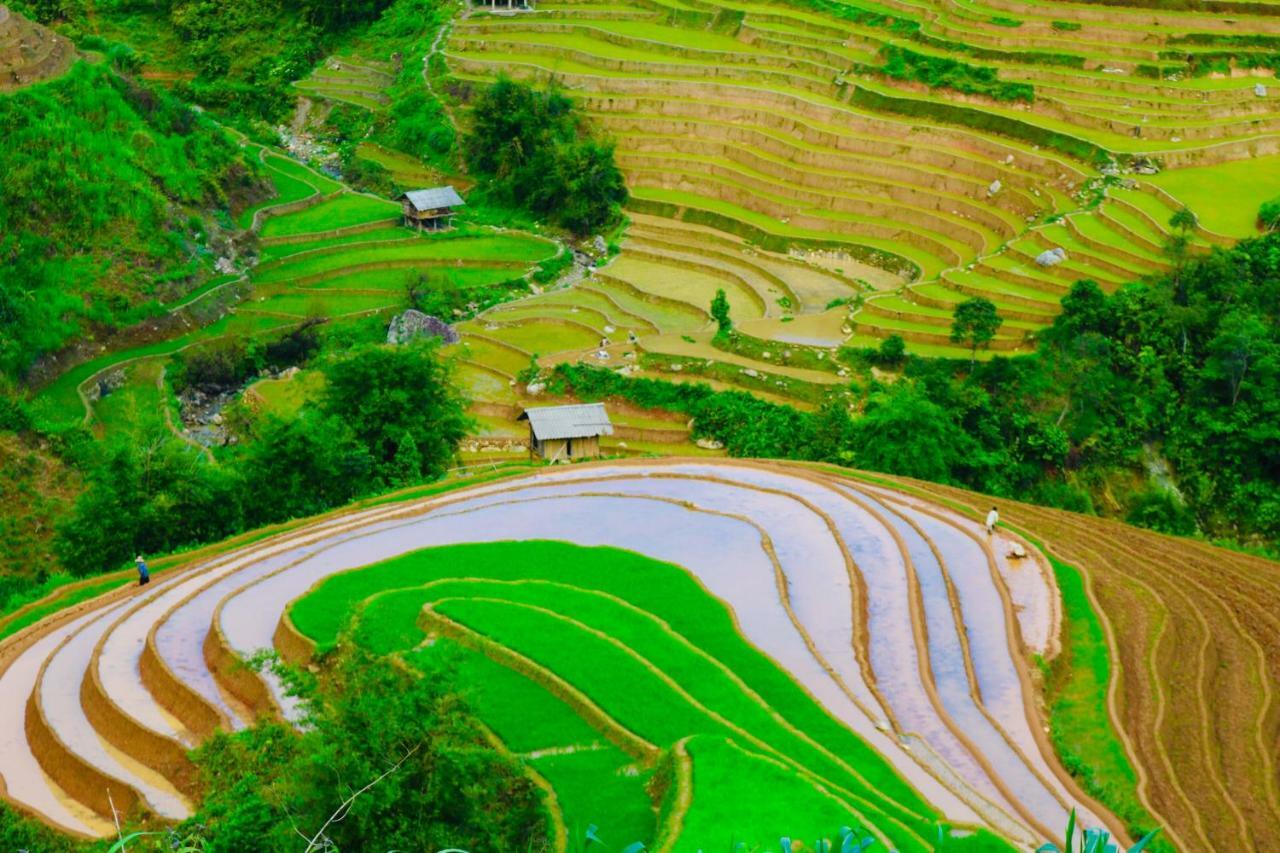 Do Gu Homestay Mu Cang Chai Exteriér fotografie