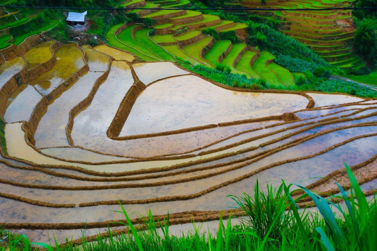 Do Gu Homestay Mu Cang Chai Exteriér fotografie
