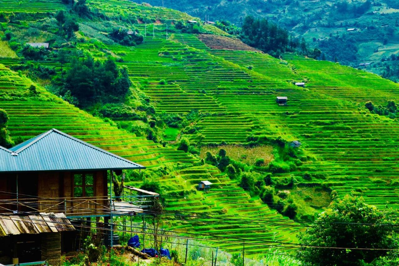 Do Gu Homestay Mu Cang Chai Exteriér fotografie
